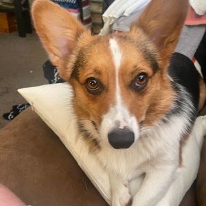 Meet your Posher, Rahni